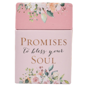 Promises to Bless Your Soul Cards (Boxed Cards)