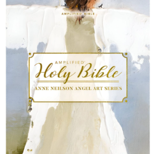 Amplified Blue Imitation Leather Anne Neilson Angel Art Series Holy Bible