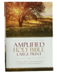 Amplified Holy Bible ( Large Print )