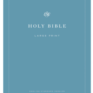 ESV Economy Bible Large Print Blue (Paperback)