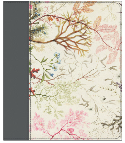 ESV journal