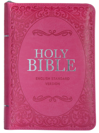 ESV pink