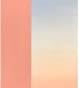 NLT Ombre Imitation Leather Filament Student Life Application Bible Red Letter