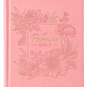 KJV Pink or Turquoise Faux Leather Hardcover My Promise Bible
