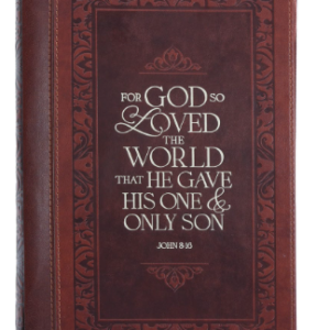 John 3:16